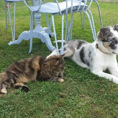 住宿加早餐酒店 D'hotes Hameau De Lalanne