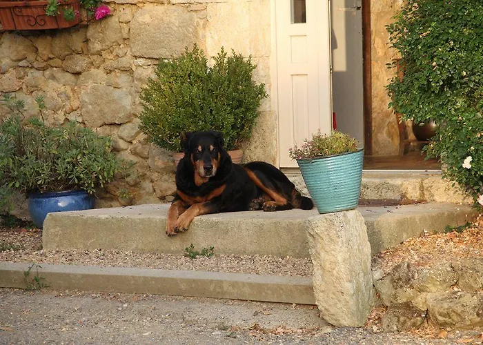 D'hotes Hameau De Lalanne B&B