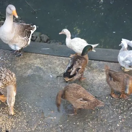 D'hotes Hameau De Lalanne Bed & Breakfast