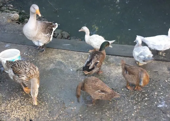 D'hotes Hameau De Lalanne Bed and breakfast